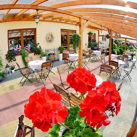 פארק נופש Sunstar *